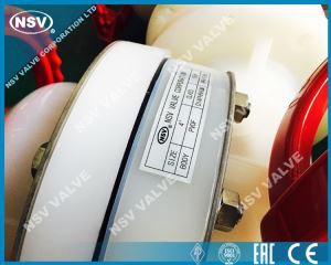 পিভিডিএফ ডায়াফ্রাম ভালভ